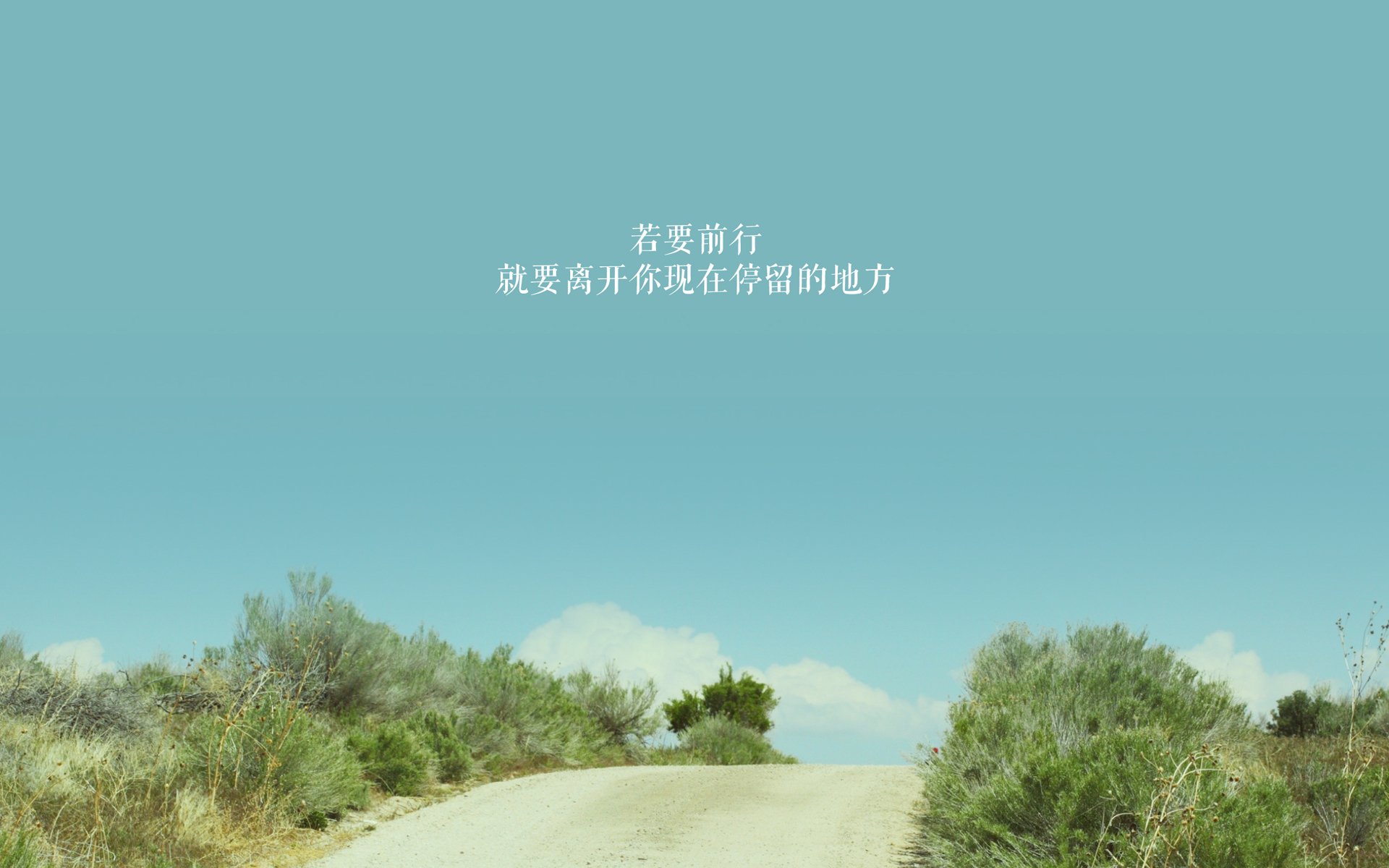 奇迹的双子星,冷门如何书写体育史诗