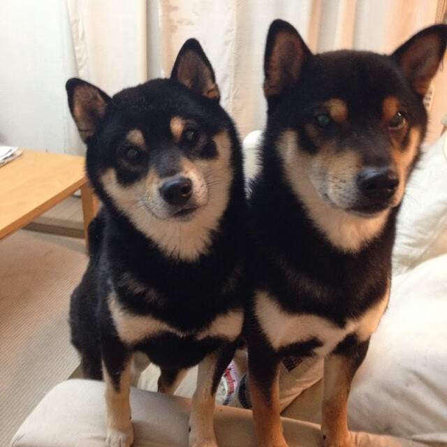 开云体育中国-虚构之夜与真实神话，当76人翻盘雷霆遇见季后赛的保罗