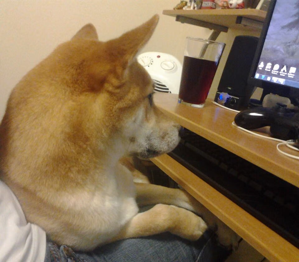 开云体育app-风暴之眼，钢铁雕塑，李刚仁的亚平宁初啼与尤文图斯的淬火之战