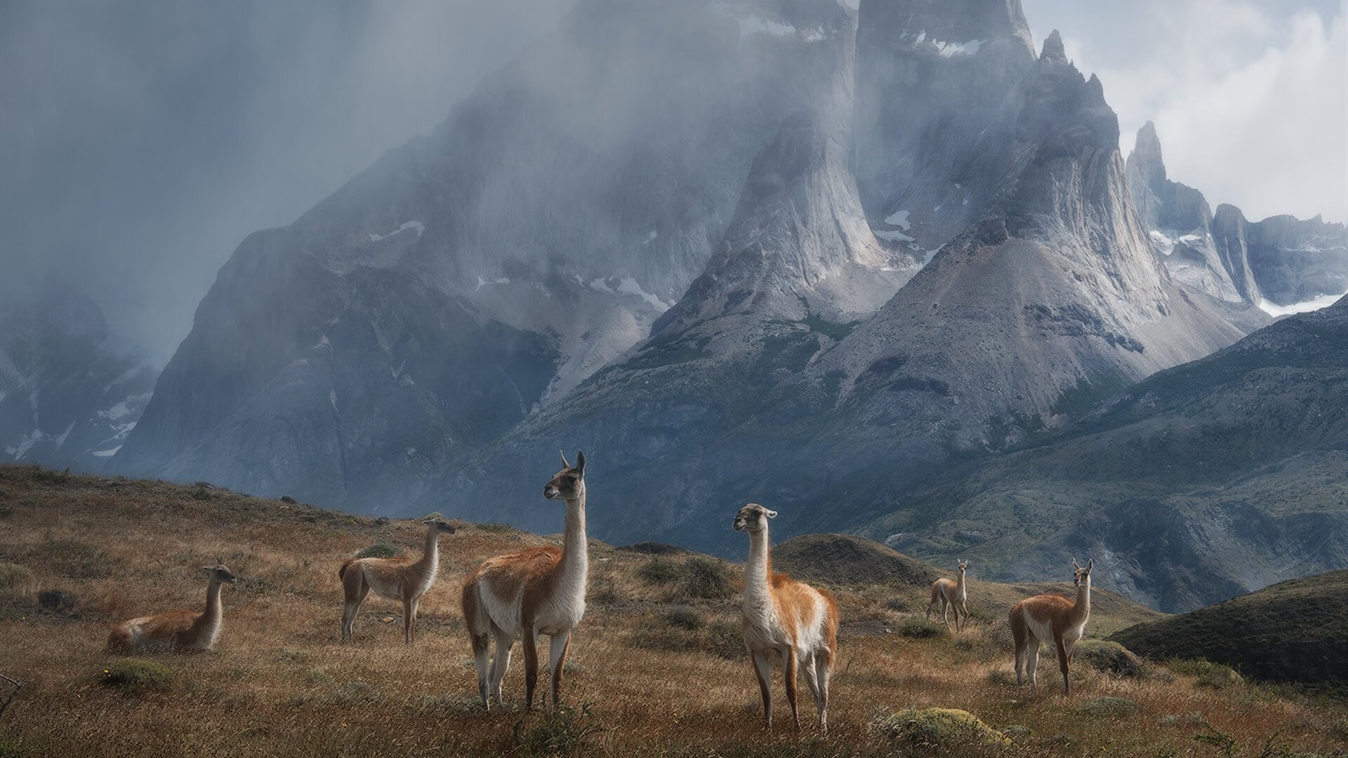 开云体育app-绝境重构，当杜兰特身披灰熊战袍成为关键先生