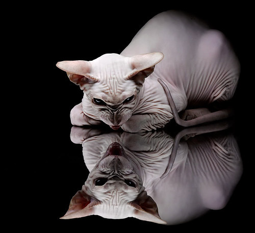 切特绞杀网笼罩上海滩,篮网疾风骤雨诠释现代篮球速率