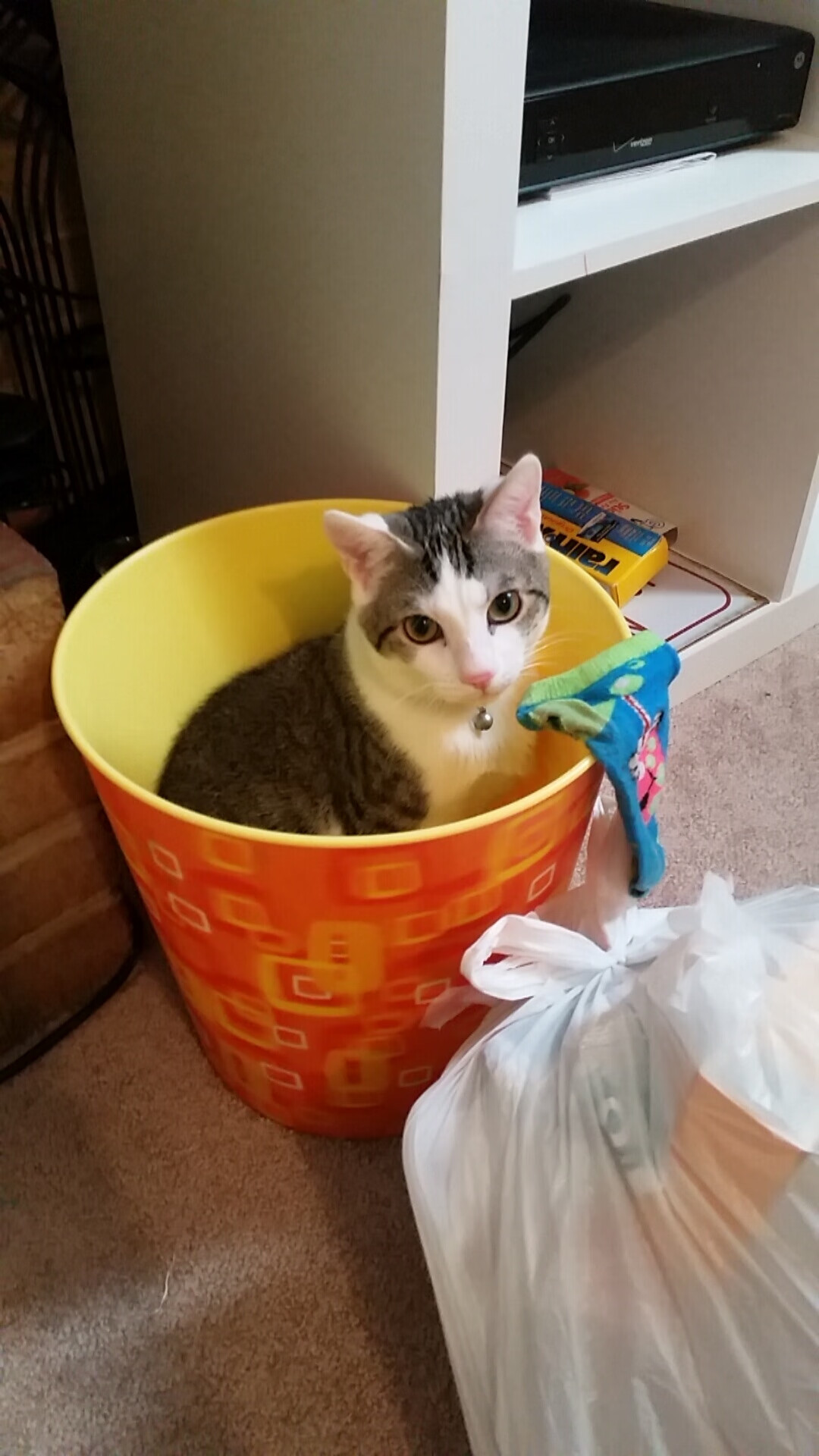 NBA季后赛独家解析，广厦23分惊天逆转骑士，打破历史记录的背后故事