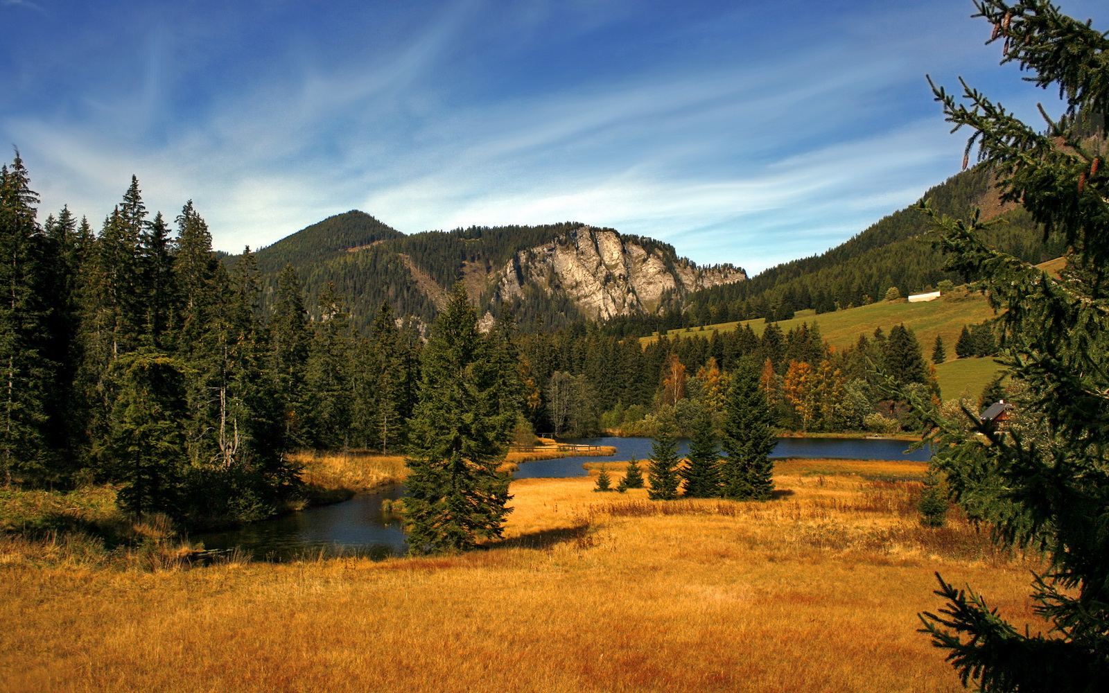 凯尔特人无解碾压的背后，是魔术新王的璀璨与绿军王朝密码