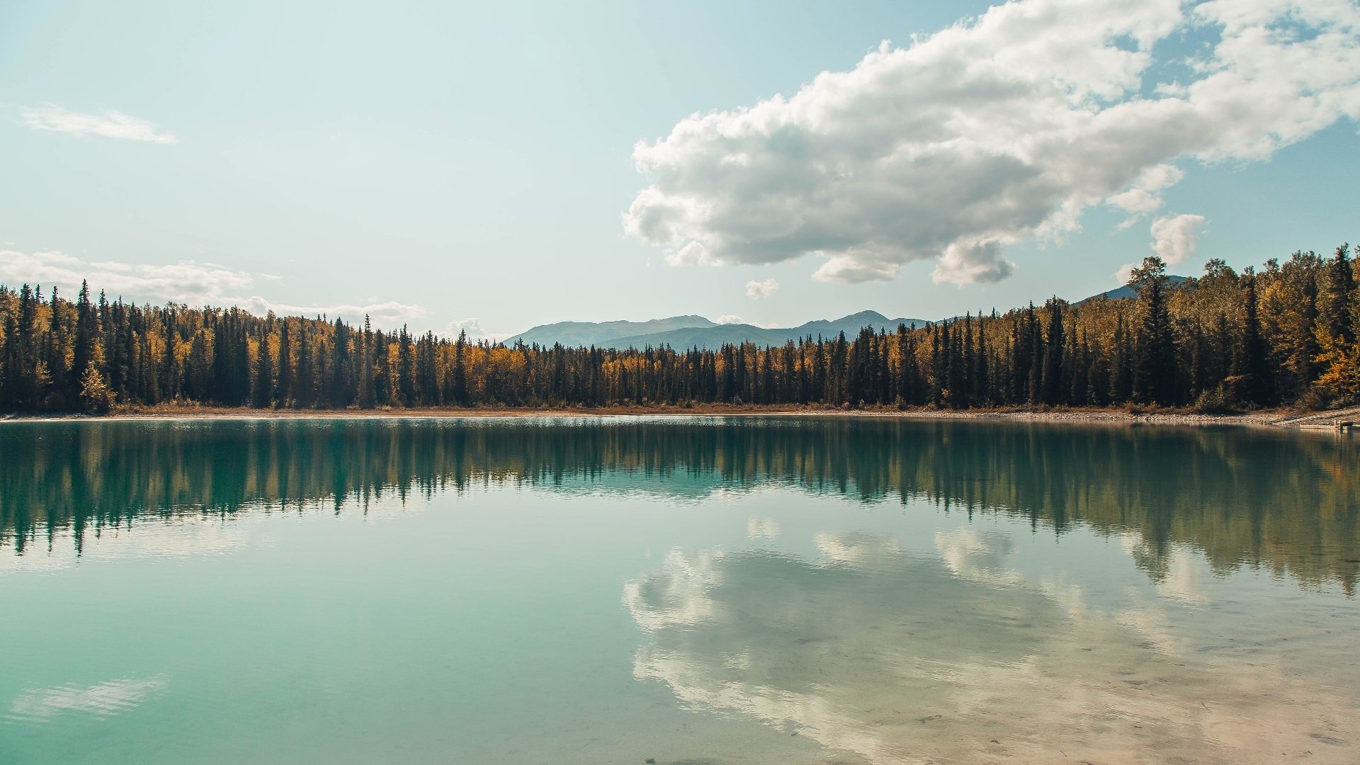 戈贝尔封锁世界，辽宁击碎不败神话