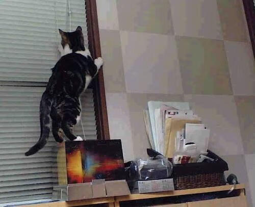 你提到的这个老鹰爆冷辽宁队可能是一个有趣的体育假设场景。我将以此为灵感，创作一篇聚焦大场面球员精神的文章