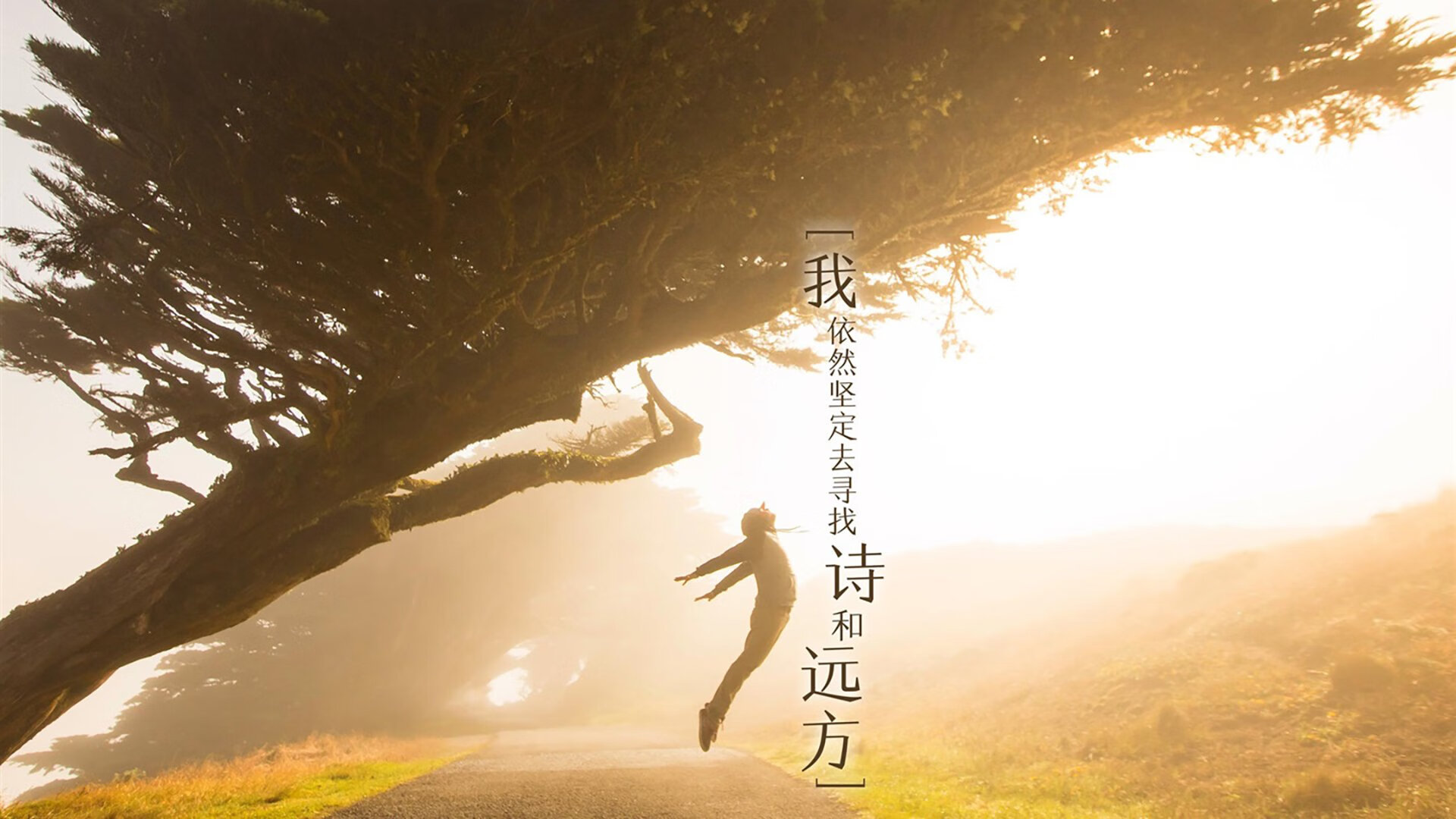 当利物浦红遇见塞内加尔节奏,阿拉巴如何点燃第三种火焰