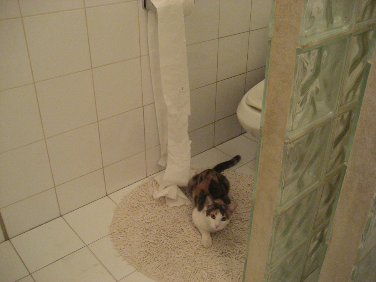 赛道乐章，当摩纳哥的弯角遇见丹麦的勇气